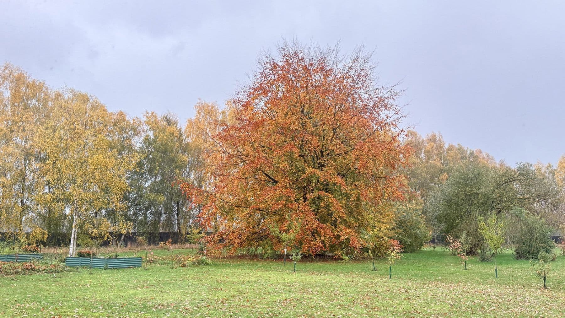 house for sale, 877 m², Balge, Lower Saxony house for sale, 877 m², Balge, Lower Saxony