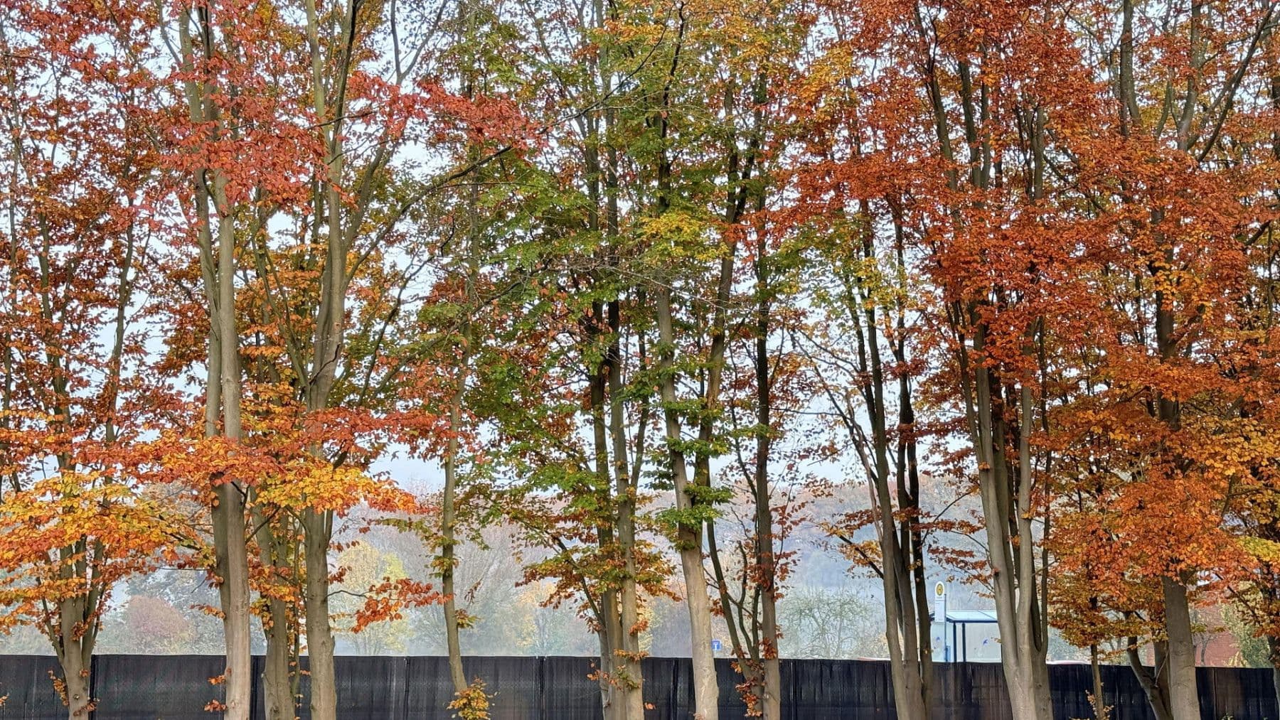 house for sale, 877 m², Balge, Lower Saxony house for sale, 877 m², Balge, Lower Saxony