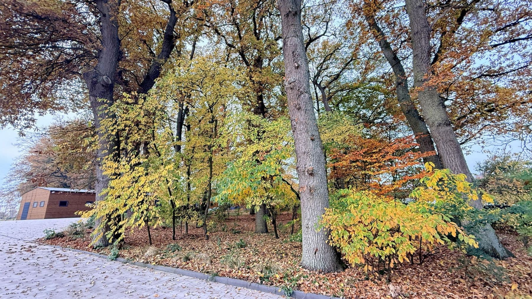 house for sale, 877 m², Balge, Lower Saxony house for sale, 877 m², Balge, Lower Saxony