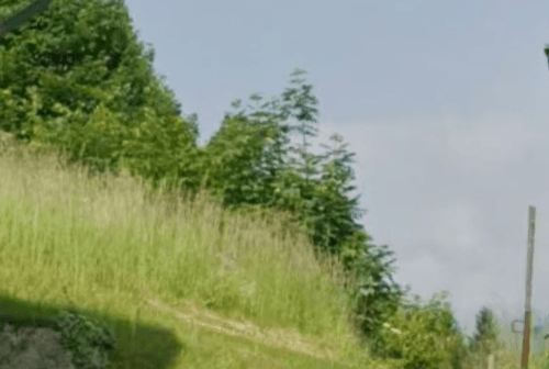 plot for sale, 1,230 m², Oberhüttendorfer Weg 14, Bad Bleiberg, Carinthia plot for sale, 1,230 m², Oberhüttendorfer Weg 14, Bad Bleiberg, Carinthia