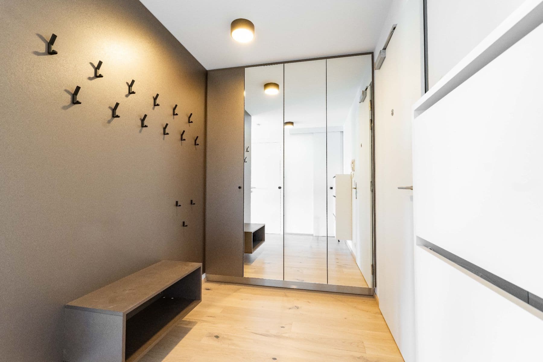 1 bedroom with open-plan kitchen flat to rent, 70 m², Lidická, Brno, Jihomoravský Region 1 bedroom with open-plan kitchen flat to rent, 70 m², Lidická, Brno, Jihomoravský Region