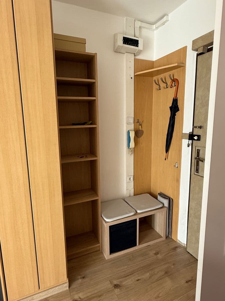 1 bedroom with open-plan kitchen flat to rent, 47 m², Přemyslovská, Prague, Prague 1 bedroom with open-plan kitchen flat to rent, 47 m², Přemyslovská, Prague, Prague