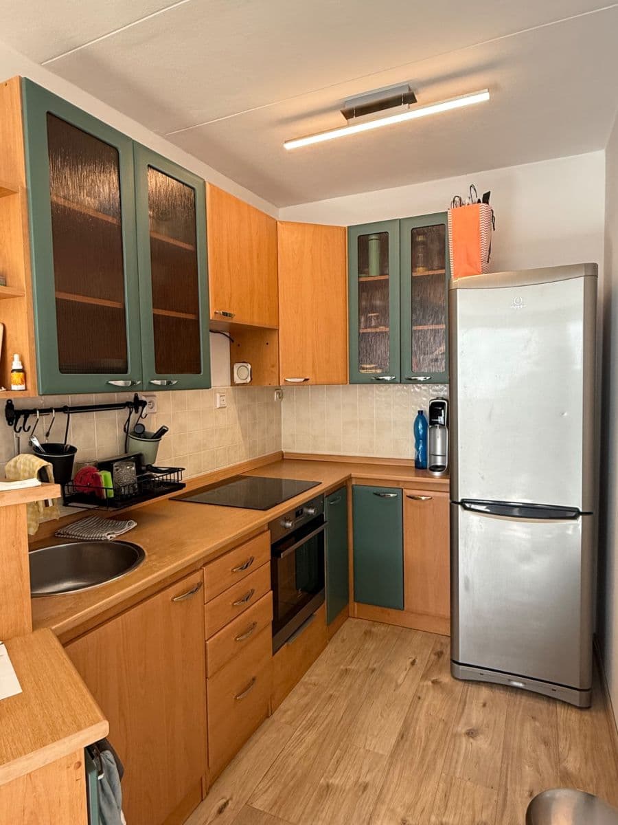 1 bedroom with open-plan kitchen flat to rent, 47 m², Přemyslovská, Prague, Prague 1 bedroom with open-plan kitchen flat to rent, 47 m², Přemyslovská, Prague, Prague