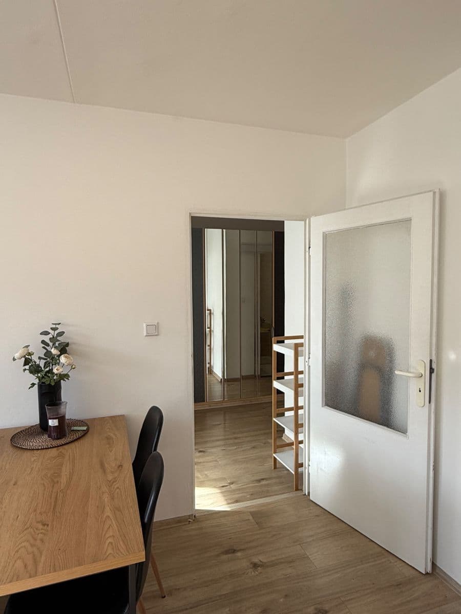 1 bedroom with open-plan kitchen flat to rent, 47 m², Přemyslovská, Prague, Prague 1 bedroom with open-plan kitchen flat to rent, 47 m², Přemyslovská, Prague, Prague