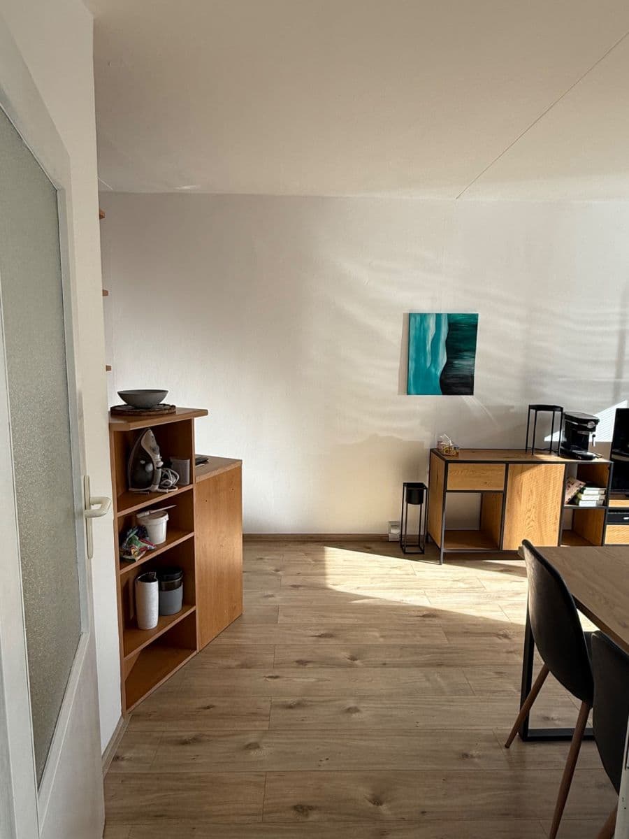 1 bedroom with open-plan kitchen flat to rent, 47 m², Přemyslovská, Prague, Prague 1 bedroom with open-plan kitchen flat to rent, 47 m², Přemyslovská, Prague, Prague