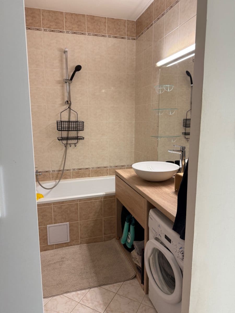 1 bedroom with open-plan kitchen flat to rent, 47 m², Přemyslovská, Prague, Prague 1 bedroom with open-plan kitchen flat to rent, 47 m², Přemyslovská, Prague, Prague