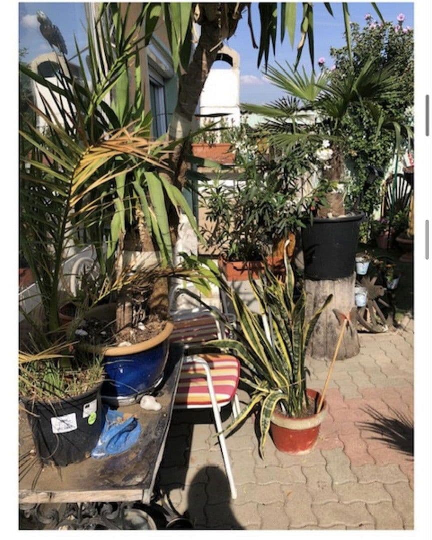 house for sale, 110 m², Laa an der Thaya, Lower Austria house for sale, 110 m², Laa an der Thaya, Lower Austria