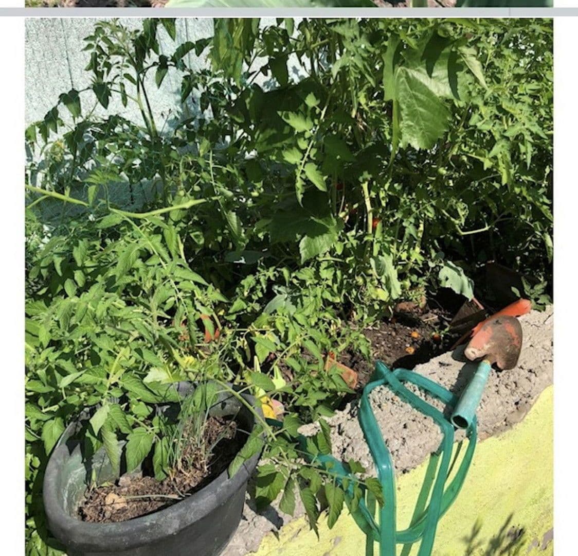 house for sale, 110 m², Laa an der Thaya, Lower Austria house for sale, 110 m², Laa an der Thaya, Lower Austria