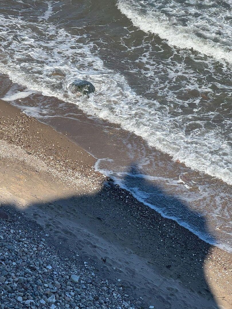 2 bedroom flat for sale, 42 m², Brodersby, Schleswig-Holstein 2 bedroom flat for sale, 42 m², Brodersby, Schleswig-Holstein