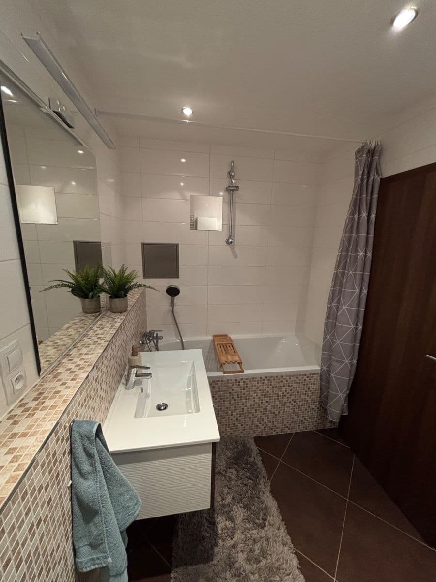 1 bedroom with open-plan kitchen flat to rent, 62 m², Modenská, Prague, Prague 1 bedroom with open-plan kitchen flat to rent, 62 m², Modenská, Prague, Prague