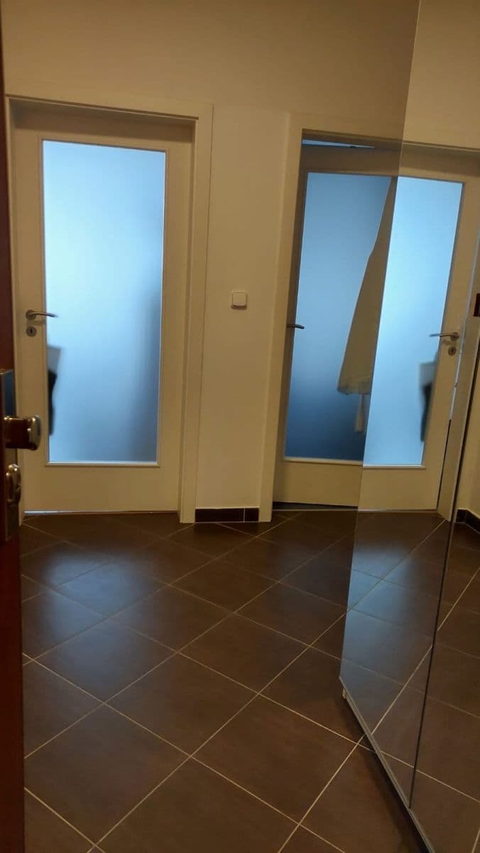 1 bedroom with open-plan kitchen flat to rent, 54 m², Míšovická, Prague, Prague 1 bedroom with open-plan kitchen flat to rent, 54 m², Míšovická, Prague, Prague