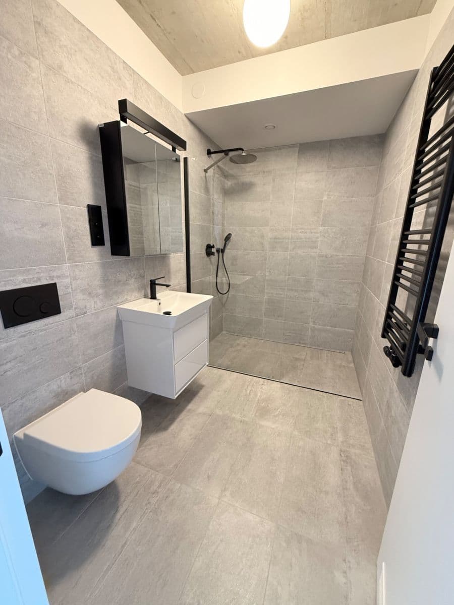 1 bedroom with open-plan kitchen flat for sale, 53 m², Sedlářova, Prague, Prague 1 bedroom with open-plan kitchen flat for sale, 53 m², Sedlářova, Prague, Prague