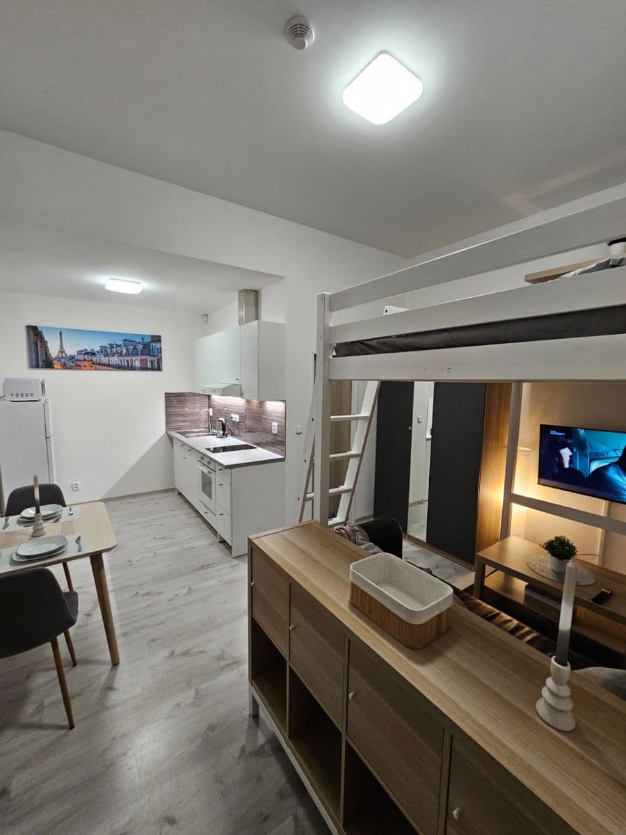 Studio flat to rent, 24 m², Vrapická, Kladno, Středočeský Region Studio flat to rent, 24 m², Vrapická, Kladno, Středočeský Region