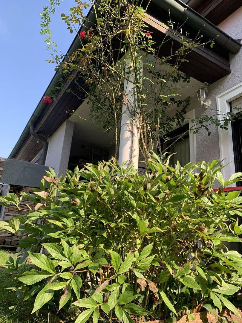 house for sale, 137 m², Enns - Kristein, End, Upper Austria house for sale, 137 m², Enns - Kristein, End, Upper Austria