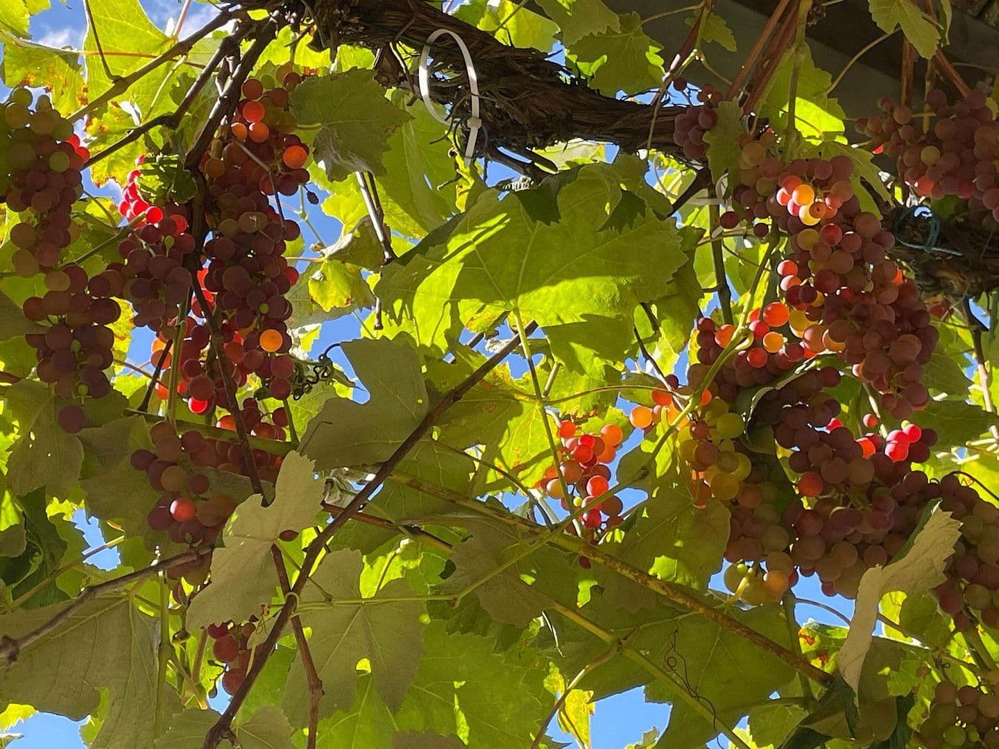 6 bedroom flat to rent, 180 m², Gilching, Bavaria 6 bedroom flat to rent, 180 m², Gilching, Bavaria