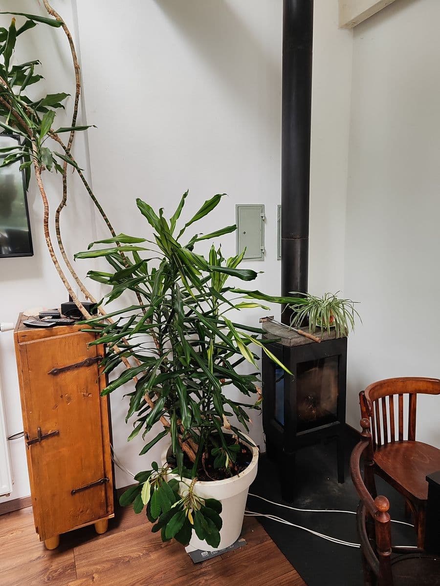 3 bedroom flat for sale, 130 m², Merhautova, Brno, Jihomoravský Region 3 bedroom flat for sale, 130 m², Merhautova, Brno, Jihomoravský Region