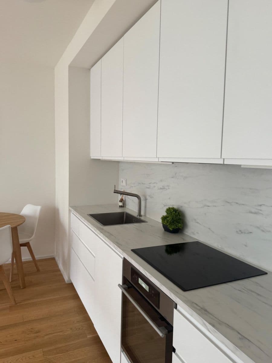 1 bedroom with open-plan kitchen flat to rent, 48 m², U Průhonu, Prague, Prague 1 bedroom with open-plan kitchen flat to rent, 48 m², U Průhonu, Prague, Prague