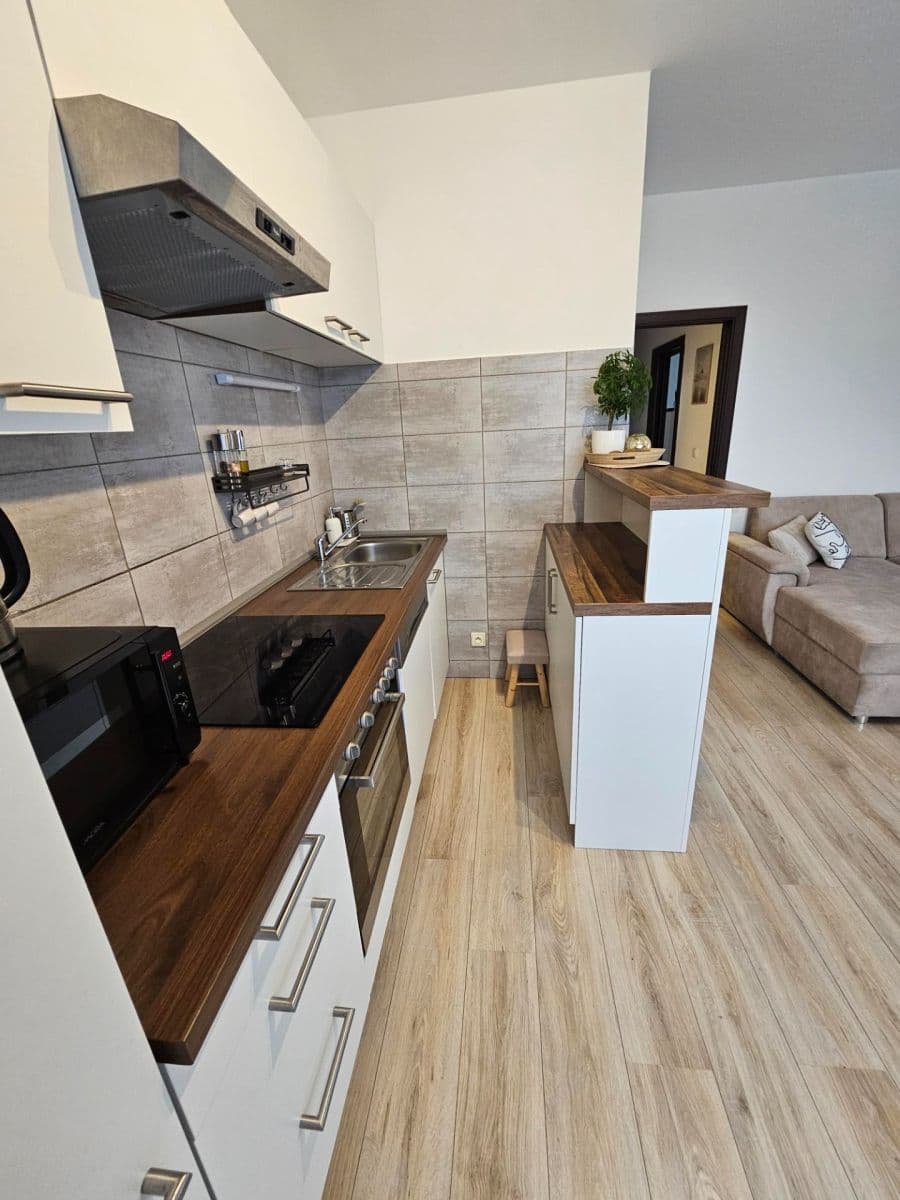 2 bedroom with open-plan kitchen flat to rent, 60 m², Břežany II, Středočeský Region 2 bedroom with open-plan kitchen flat to rent, 60 m², Břežany II, Středočeský Region