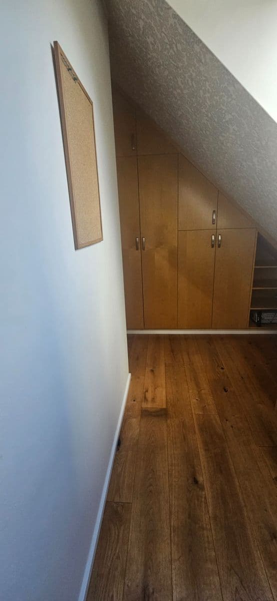 3 bedroom with open-plan kitchen flat to rent, 120 m², Wuchterlova, Prague, Prague 3 bedroom with open-plan kitchen flat to rent, 120 m², Wuchterlova, Prague, Prague