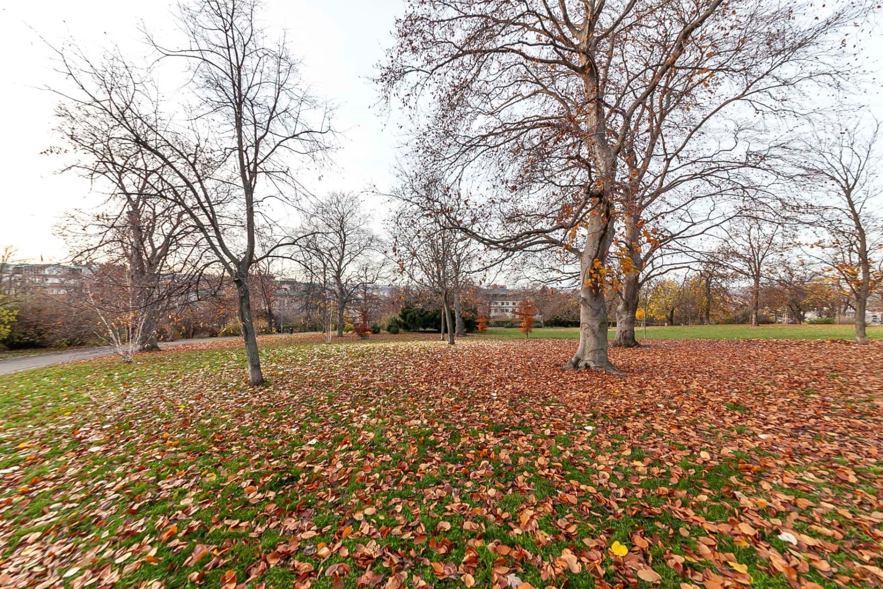 2 bedroom flat for sale, 55 m², Budečská, Prague, Prague 2 bedroom flat for sale, 55 m², Budečská, Prague, Prague