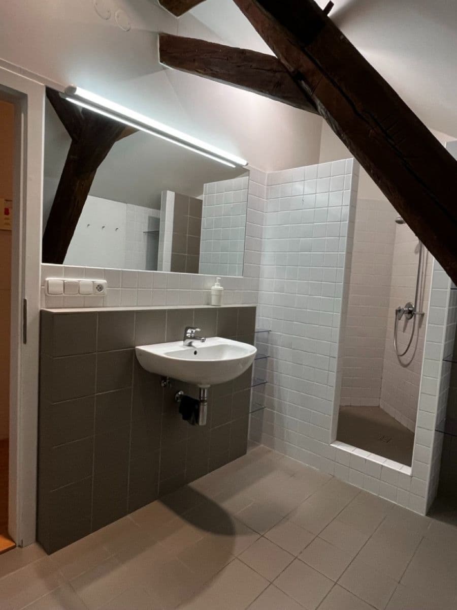 1 bedroom with open-plan kitchen flat to rent, 76 m², K Tuchoměřicům, Prague, Prague 1 bedroom with open-plan kitchen flat to rent, 76 m², K Tuchoměřicům, Prague, Prague