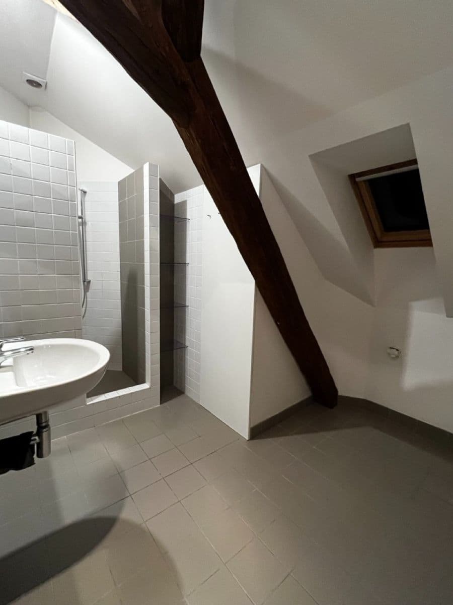 1 bedroom with open-plan kitchen flat to rent, 76 m², K Tuchoměřicům, Prague, Prague 1 bedroom with open-plan kitchen flat to rent, 76 m², K Tuchoměřicům, Prague, Prague