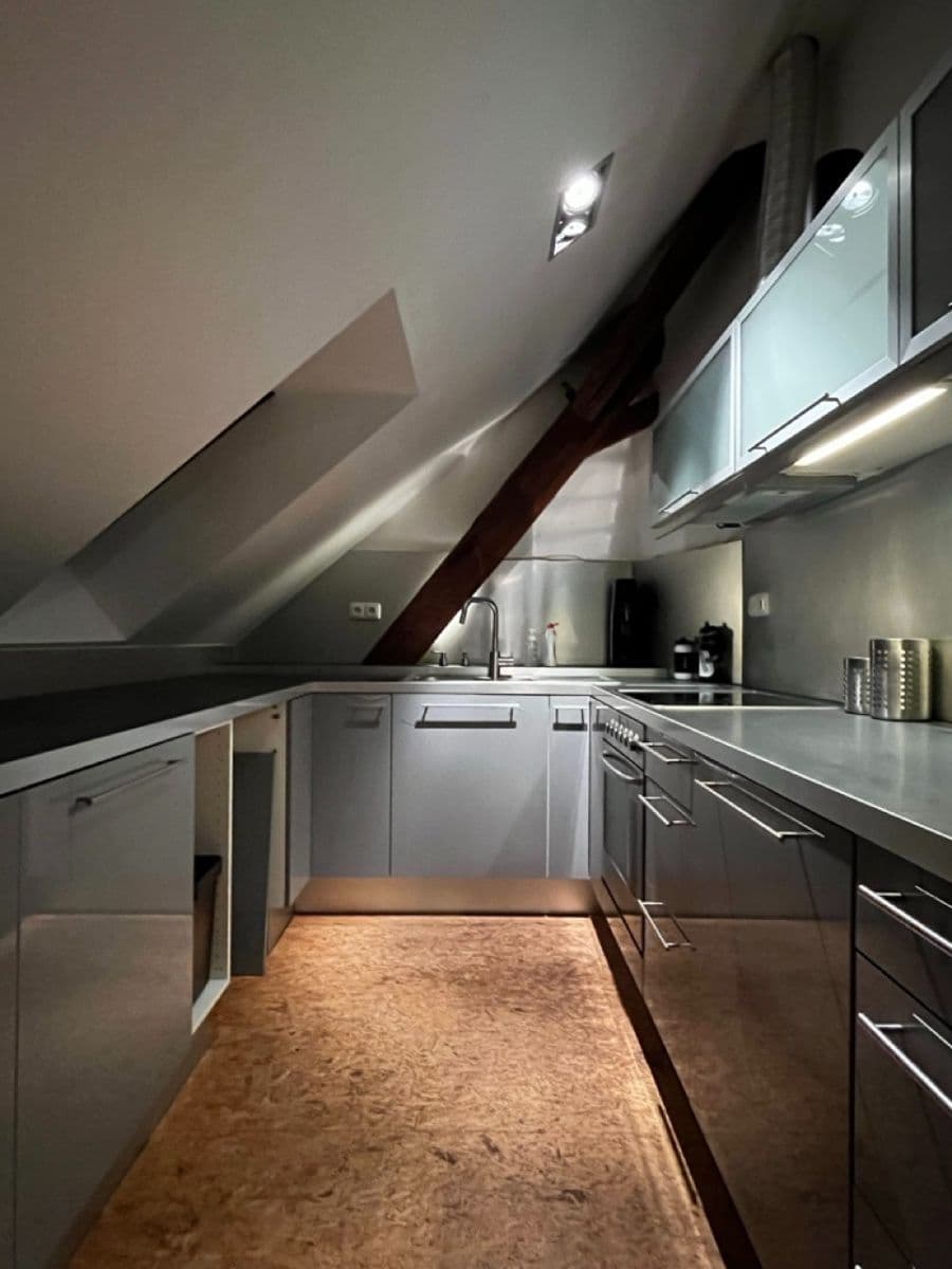 1 bedroom with open-plan kitchen flat to rent, 76 m², K Tuchoměřicům, Prague, Prague 1 bedroom with open-plan kitchen flat to rent, 76 m², K Tuchoměřicům, Prague, Prague