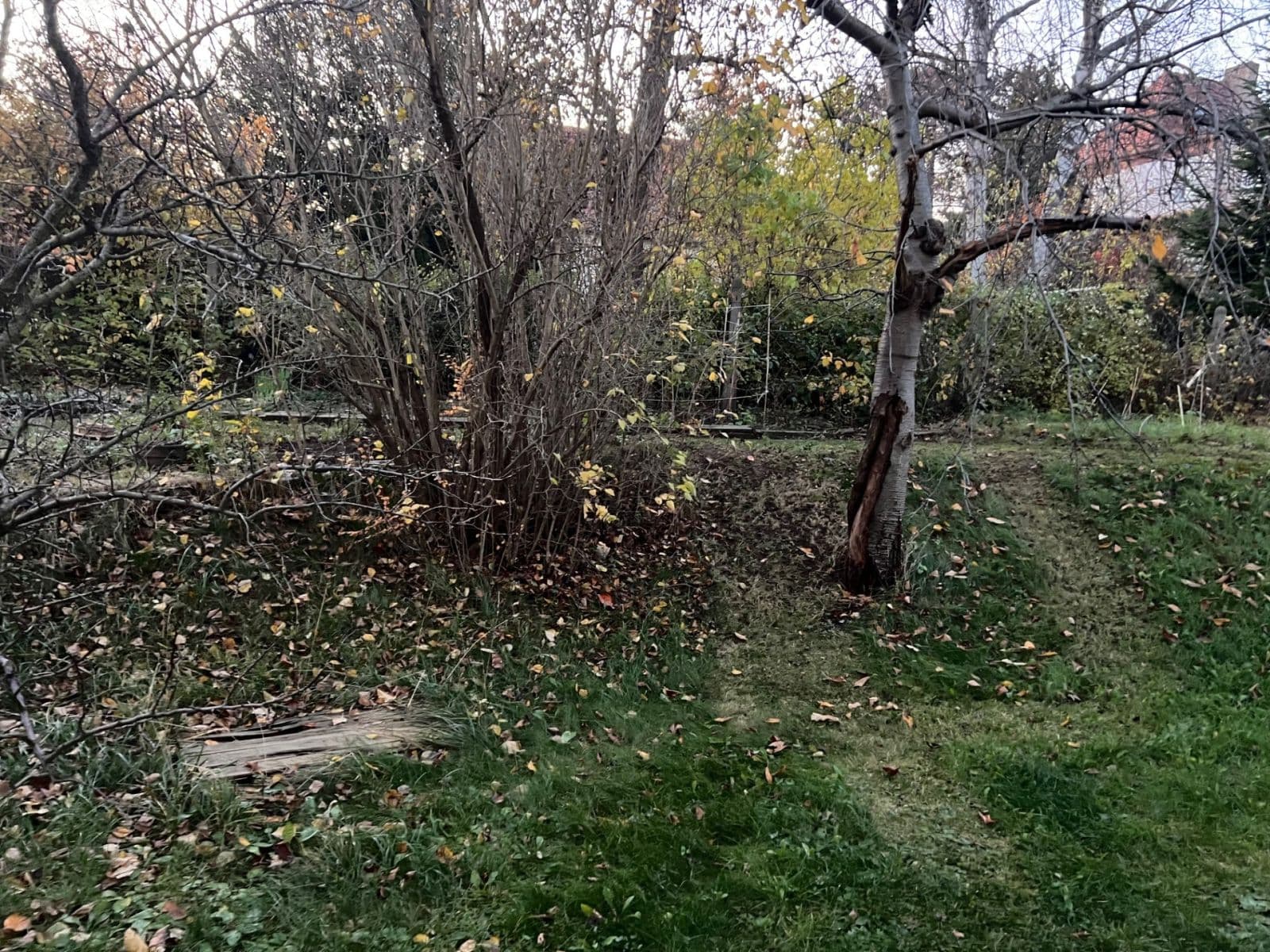 2 bedroom with open-plan kitchen flat for sale, 64 m², U Silnice, Prague, Prague 2 bedroom with open-plan kitchen flat for sale, 64 m², U Silnice, Prague, Prague