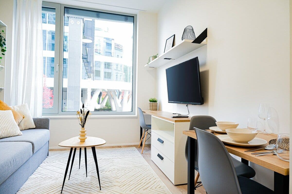 flat to rent, 23 m², Plzeňská, Prague, Prague flat to rent, 23 m², Plzeňská, Prague, Prague