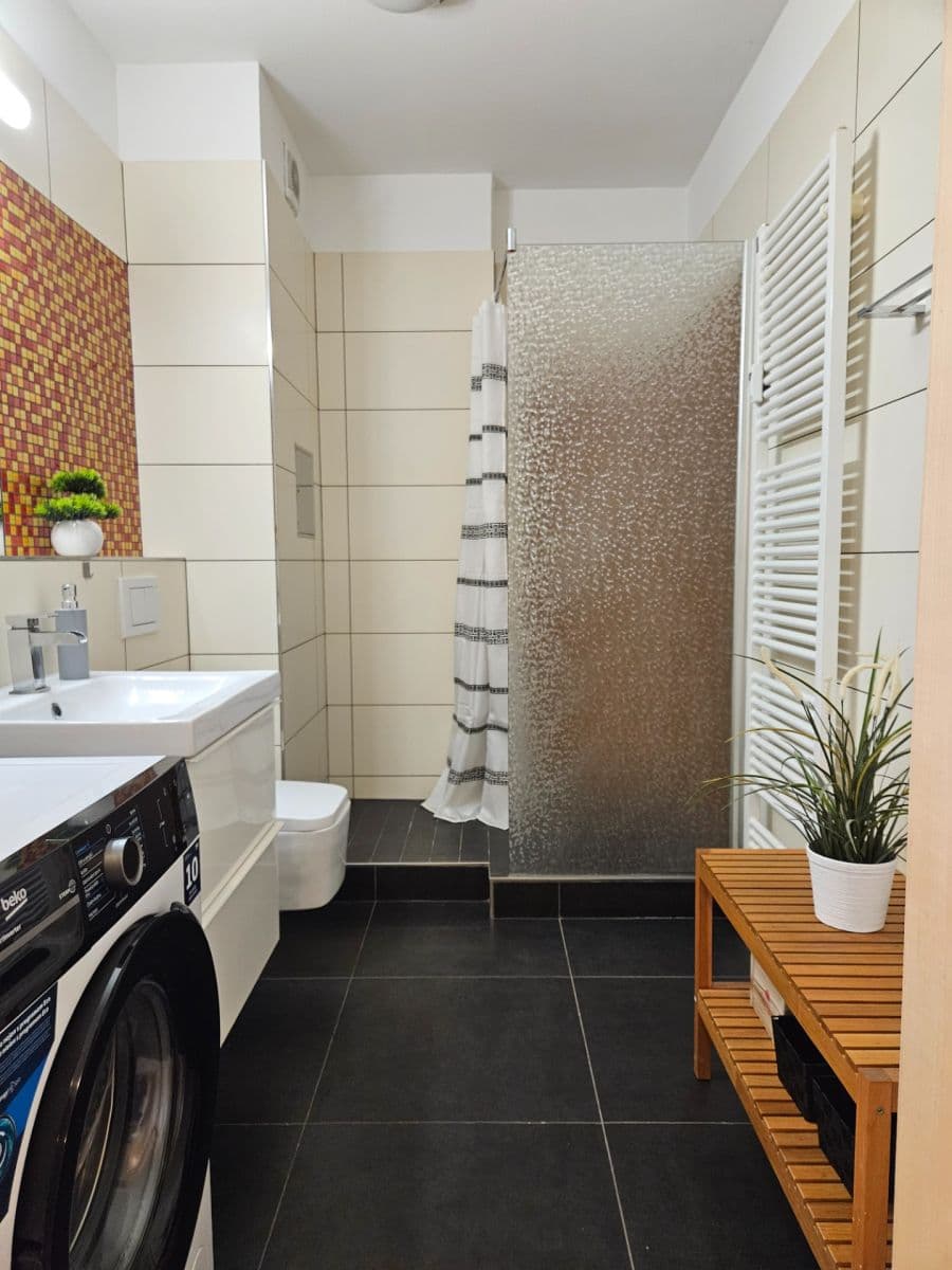 1 bedroom with open-plan kitchen flat to rent, 84 m², Mikanova, Prague, Prague 1 bedroom with open-plan kitchen flat to rent, 84 m², Mikanova, Prague, Prague