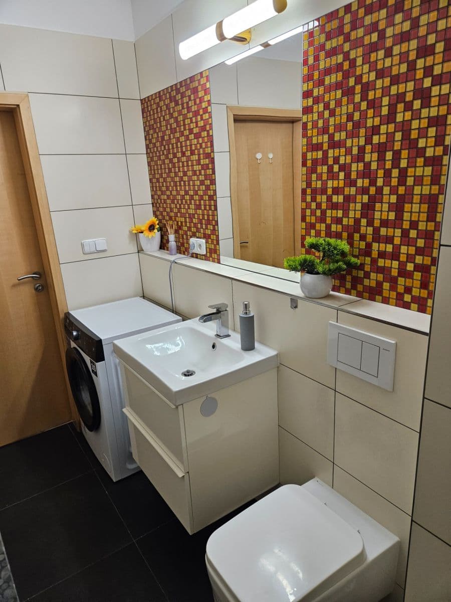 1 bedroom with open-plan kitchen flat to rent, 84 m², Mikanova, Prague, Prague 1 bedroom with open-plan kitchen flat to rent, 84 m², Mikanova, Prague, Prague