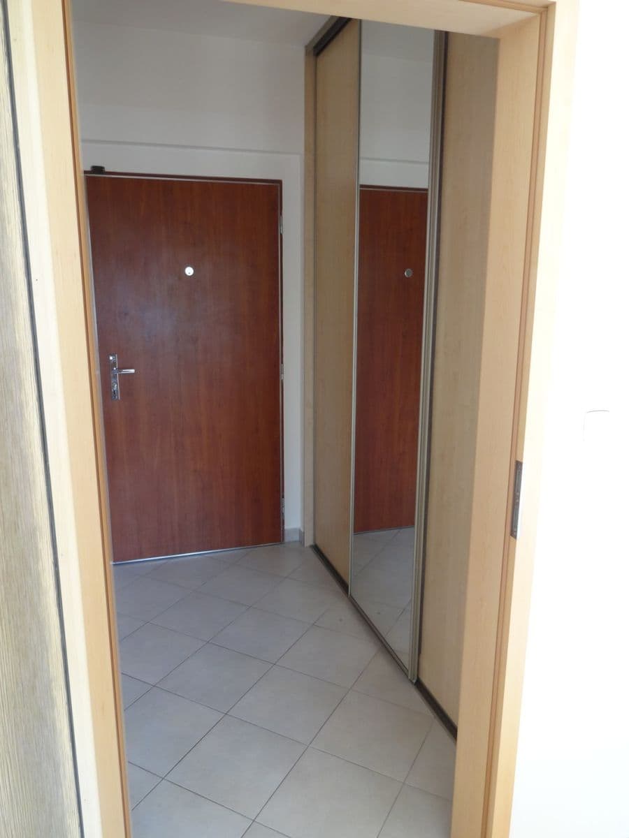 1 bedroom with open-plan kitchen flat to rent, 84 m², Mikanova, Prague, Prague 1 bedroom with open-plan kitchen flat to rent, 84 m², Mikanova, Prague, Prague