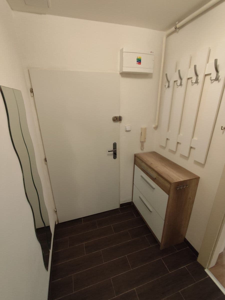 1 bedroom with open-plan kitchen flat to rent, 43 m², Renneská třída, Brno, Jihomoravský Region 1 bedroom with open-plan kitchen flat to rent, 43 m², Renneská třída, Brno, Jihomoravský Region