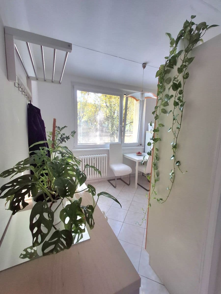 1 bedroom flat for sale, 35 m², Bukovecká, Prague, Prague 1 bedroom flat for sale, 35 m², Bukovecká, Prague, Prague