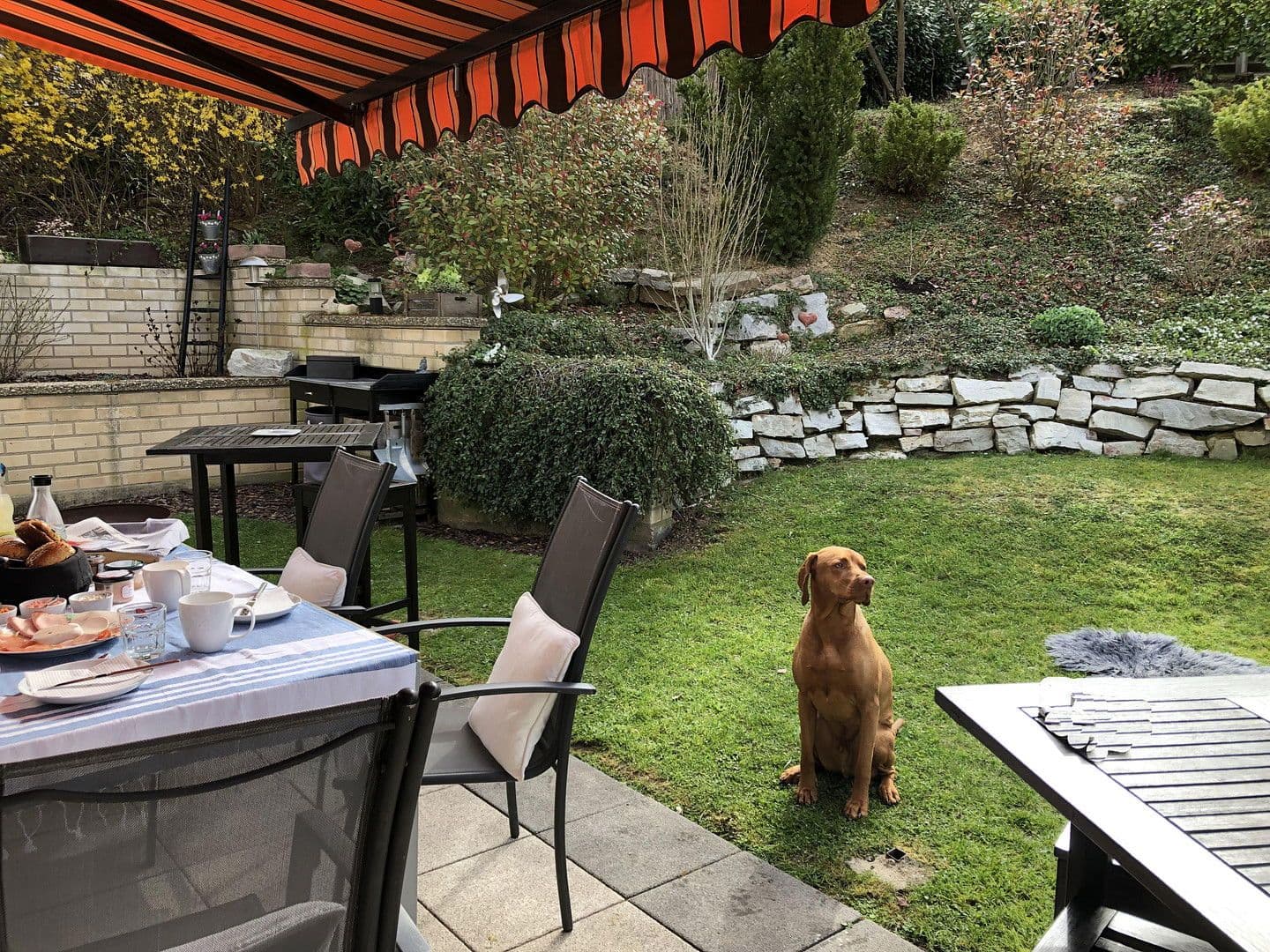 house for sale, 232 m², Am Wingert, Rockenberg, Hesse house for sale, 232 m², Am Wingert, Rockenberg, Hesse