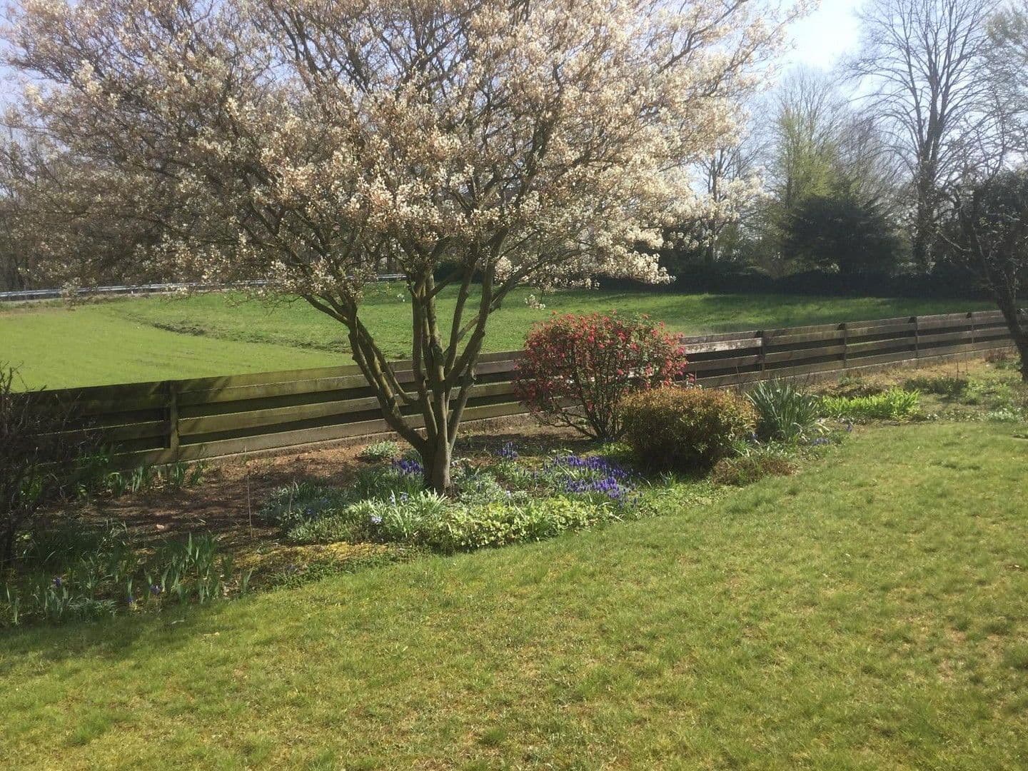 house to rent, 140 m², Bad Oeynhausen, North Rhine-Westphalia house to rent, 140 m², Bad Oeynhausen, North Rhine-Westphalia