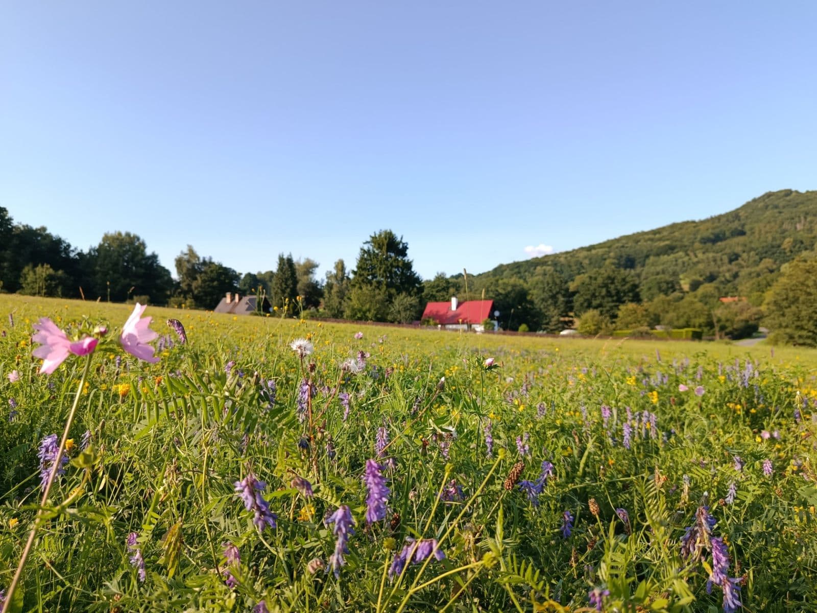 house for sale, 100 m², Žandov, Liberecký Region house for sale, 100 m², Žandov, Liberecký Region