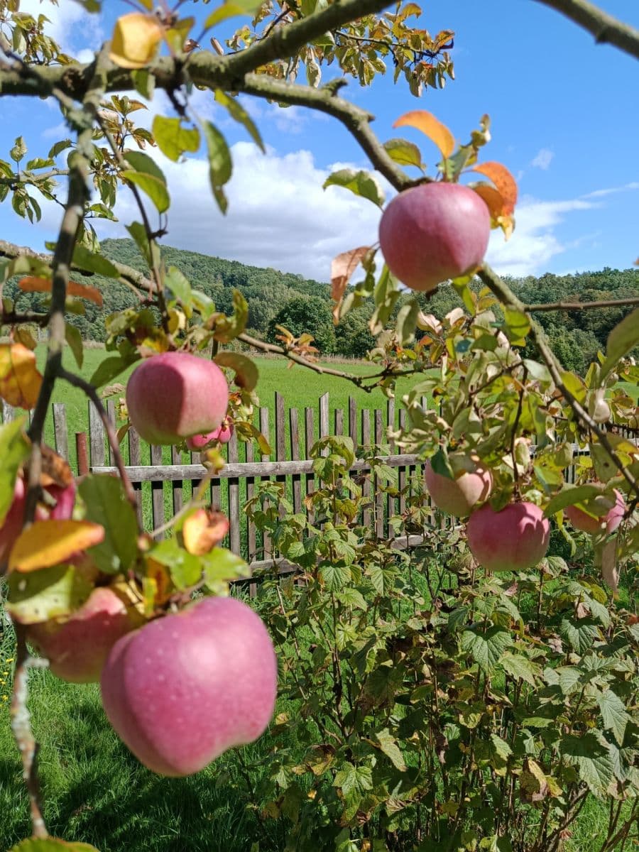 house for sale, 100 m², Žandov, Liberecký Region house for sale, 100 m², Žandov, Liberecký Region