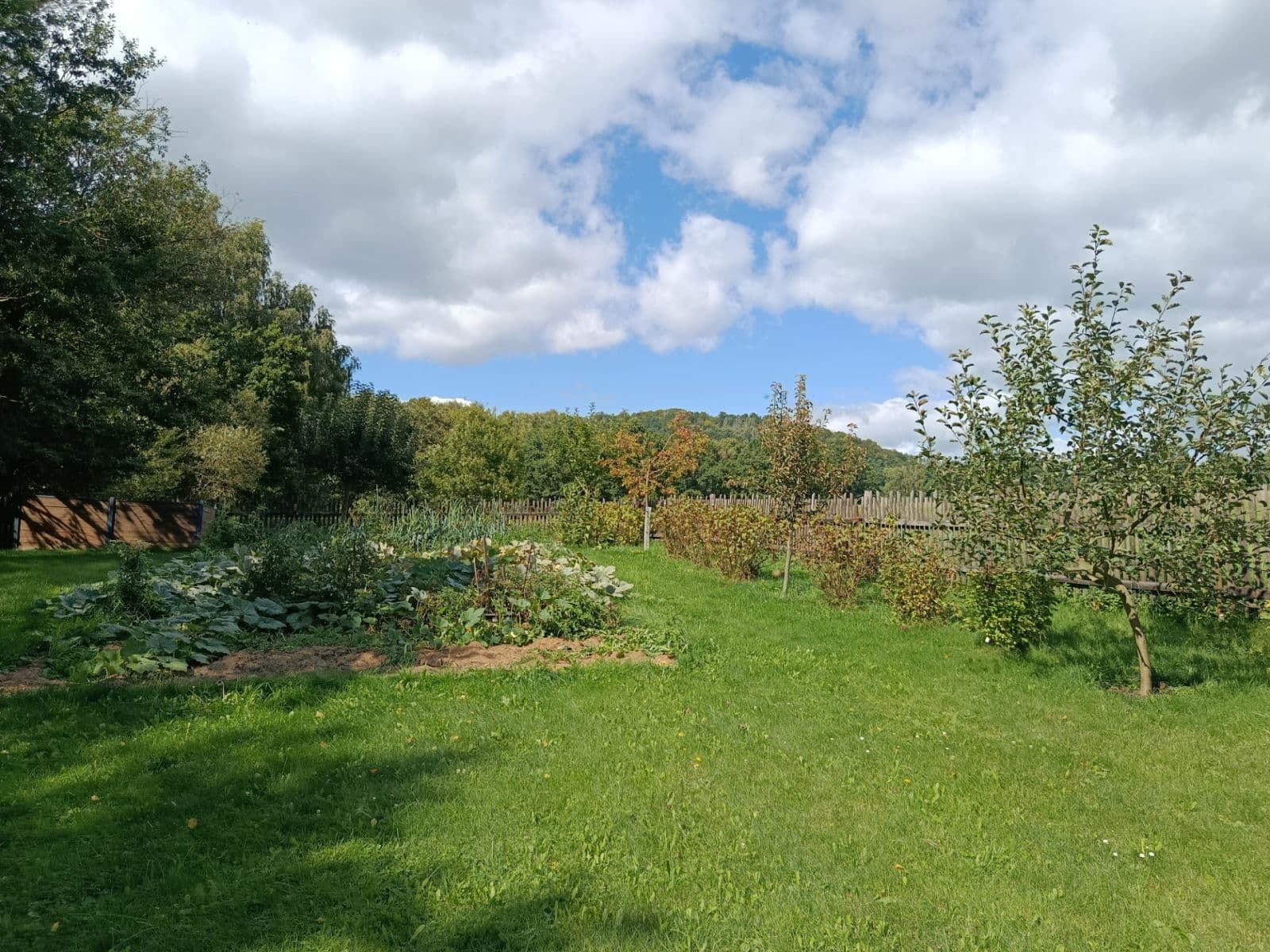 house for sale, 100 m², Žandov, Liberecký Region house for sale, 100 m², Žandov, Liberecký Region