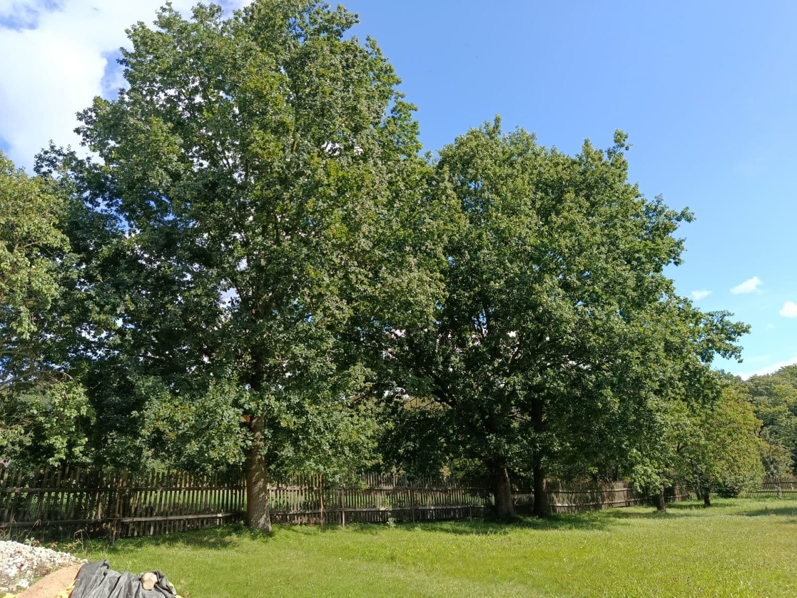 house for sale, 100 m², Žandov, Liberecký Region house for sale, 100 m², Žandov, Liberecký Region