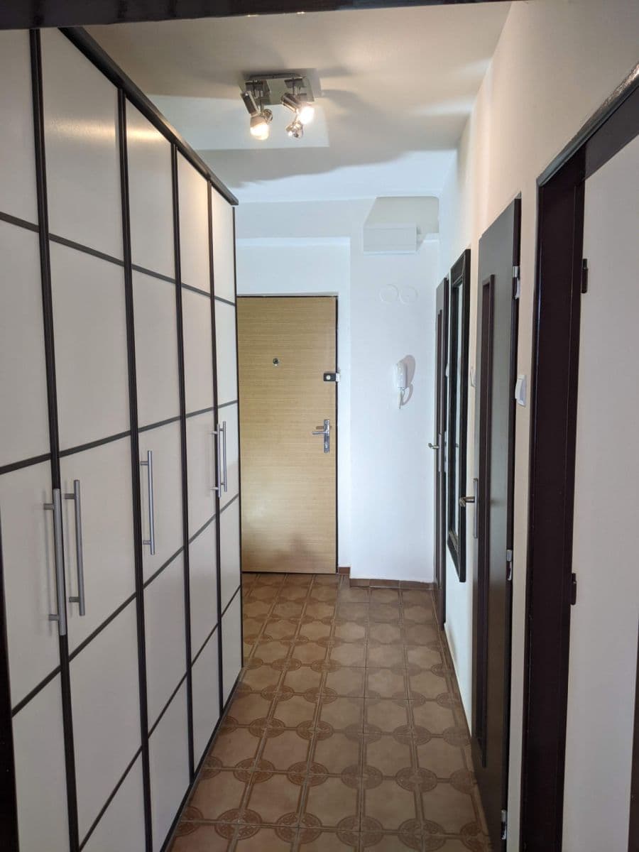 1 bedroom with open-plan kitchen flat to rent, 47 m², Nad Palatou, Prague, Prague 1 bedroom with open-plan kitchen flat to rent, 47 m², Nad Palatou, Prague, Prague