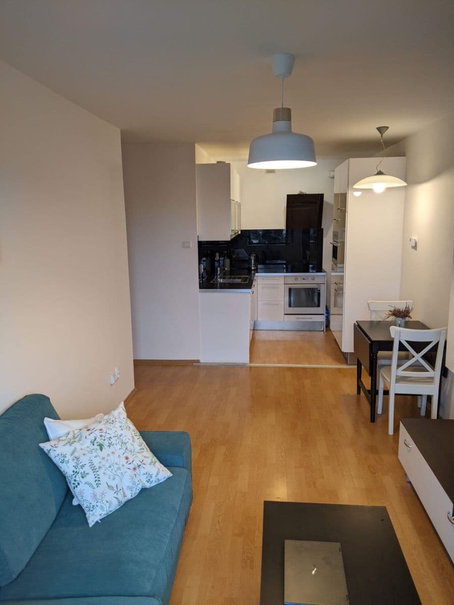 1 bedroom with open-plan kitchen flat to rent, 47 m², Nad Palatou, Prague, Prague 1 bedroom with open-plan kitchen flat to rent, 47 m², Nad Palatou, Prague, Prague