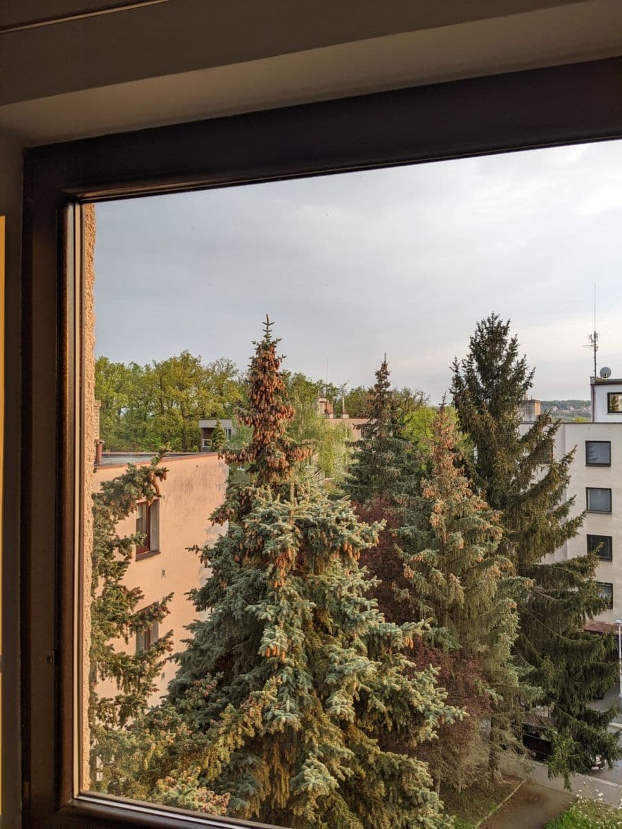 1 bedroom with open-plan kitchen flat to rent, 47 m², Nad Palatou, Prague, Prague 1 bedroom with open-plan kitchen flat to rent, 47 m², Nad Palatou, Prague, Prague