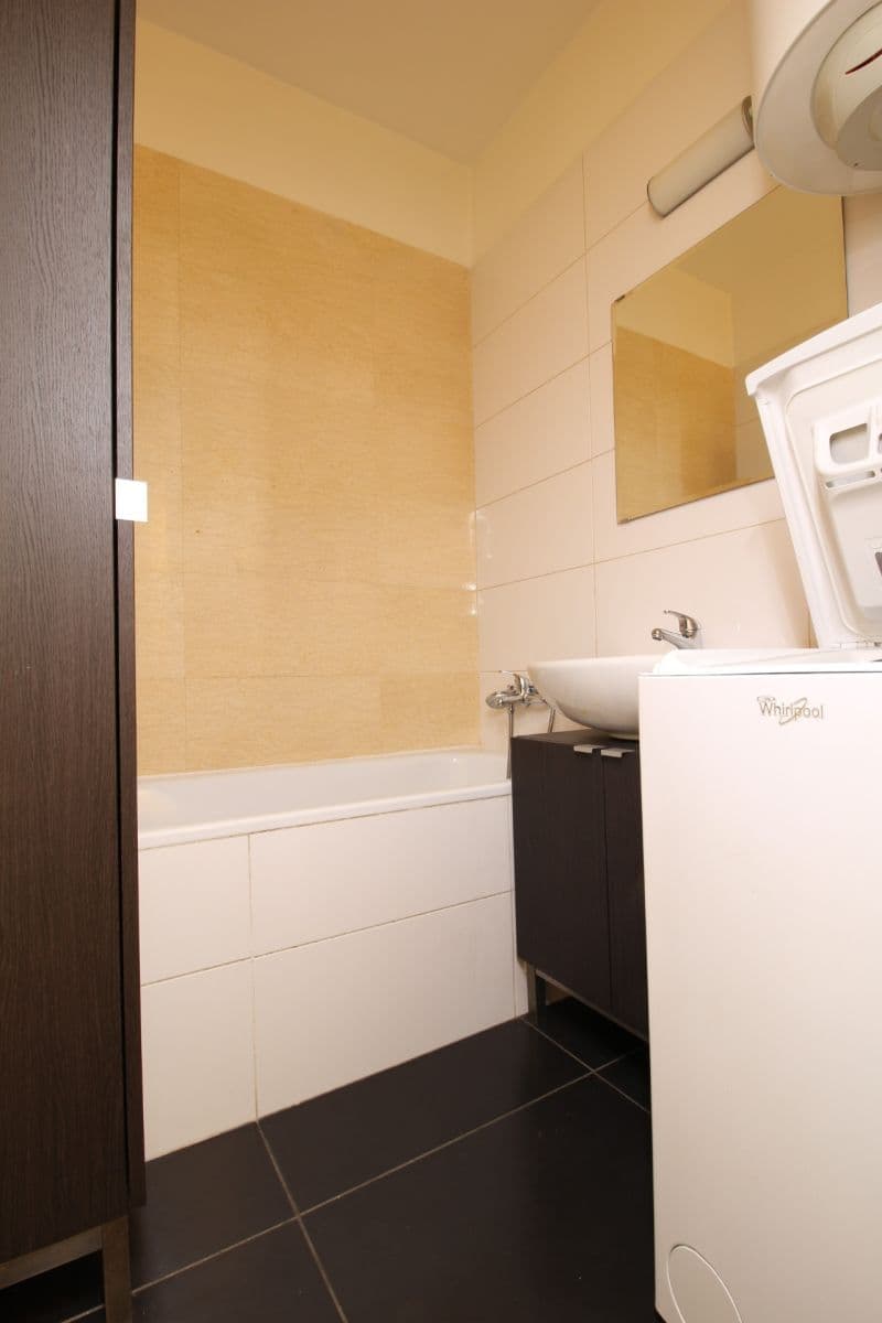 1 bedroom with open-plan kitchen flat to rent, 36 m², Českobrodská, Prague, Prague 1 bedroom with open-plan kitchen flat to rent, 36 m², Českobrodská, Prague, Prague