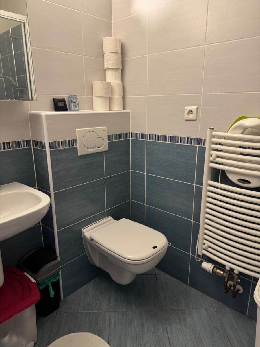 Studio flat for sale, 40 m², Přeučilova, Prague, Prague Studio flat for sale, 40 m², Přeučilova, Prague, Prague