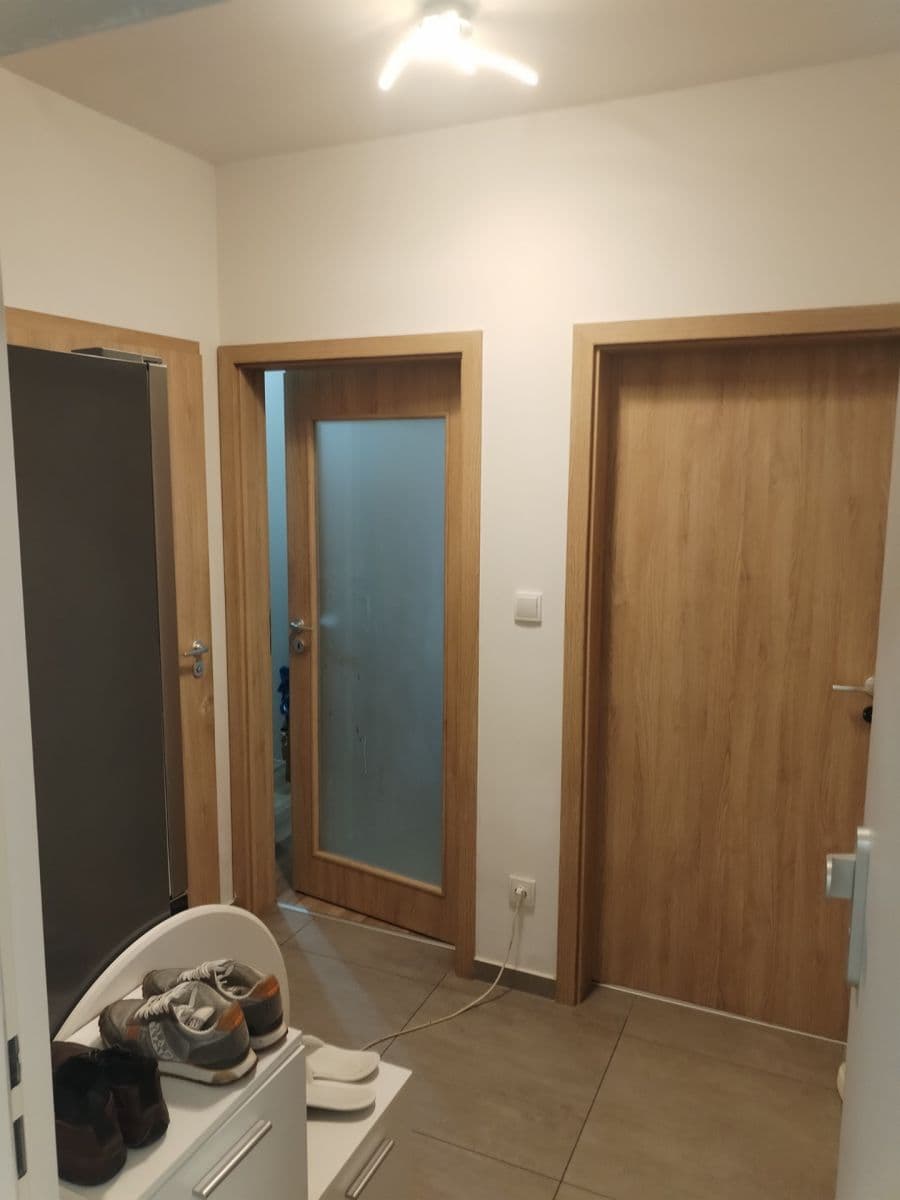 1 bedroom with open-plan kitchen flat for sale, 47 m², Oty Bubeníčka, Prague, Prague 1 bedroom with open-plan kitchen flat for sale, 47 m², Oty Bubeníčka, Prague, Prague