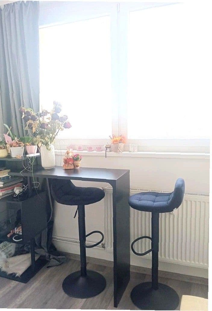 Studio flat to rent, 23 m², Děčínská, Prague, Prague Studio flat to rent, 23 m², Děčínská, Prague, Prague