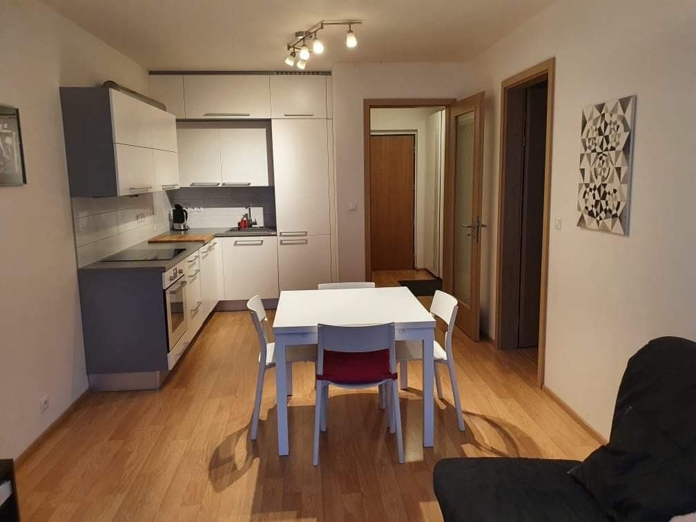 1 bedroom with open-plan kitchen flat to rent, 50 m², Matějkova, Prague, Prague 1 bedroom with open-plan kitchen flat to rent, 50 m², Matějkova, Prague, Prague