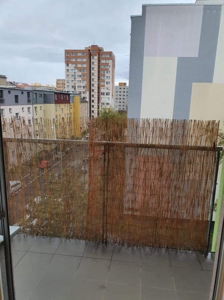 1 bedroom with open-plan kitchen flat to rent, 50 m², Matějkova, Prague, Prague 1 bedroom with open-plan kitchen flat to rent, 50 m², Matějkova, Prague, Prague