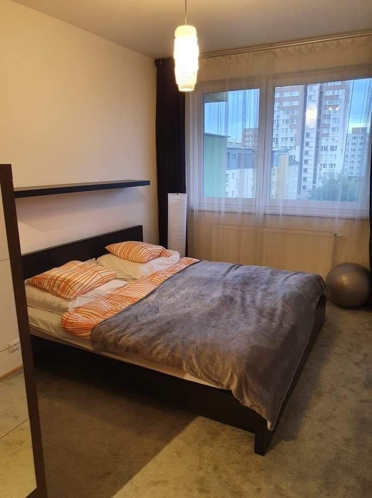 1 bedroom with open-plan kitchen flat to rent, 50 m², Matějkova, Prague, Prague 1 bedroom with open-plan kitchen flat to rent, 50 m², Matějkova, Prague, Prague